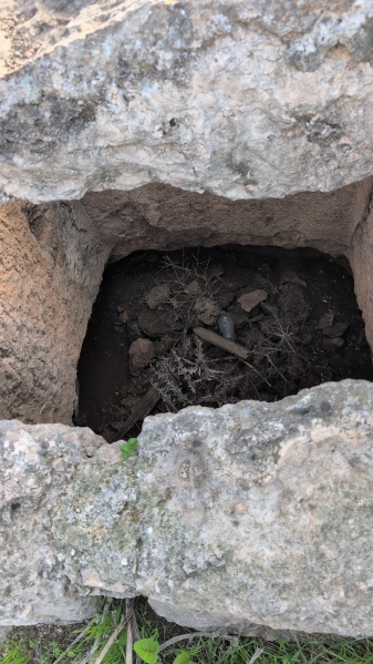 קובץ:2026-01-23T08 53 56.718008488865.jpg