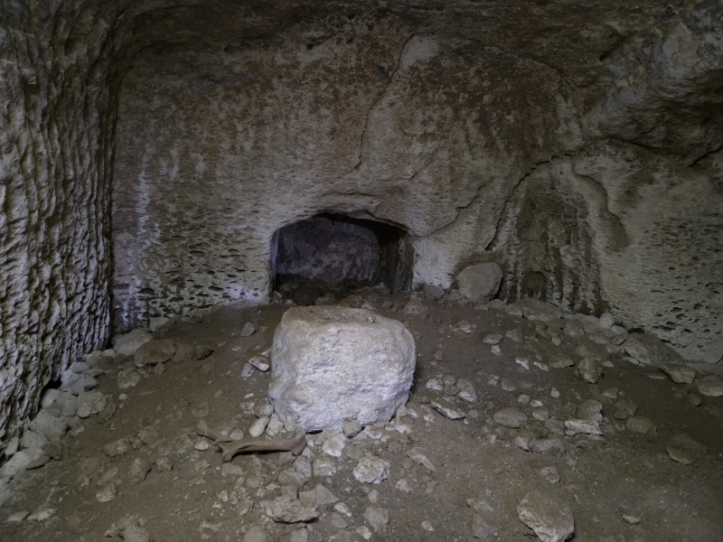 קובץ:2026-01-24T13 53 09.533276402730.jpg