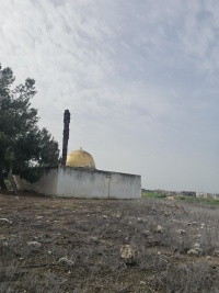 2026-01-30T10 53 28.428774643790.jpg