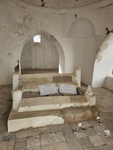 קובץ:2026-01-30T10 53 36.866997881510.jpg