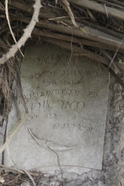 קובץ:2026-02-02T14 04 56.678564352669.jpg