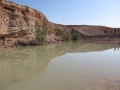 תמונה ממוזערת לגרסה מתאריך 18:18, 11 במאי 2014