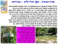 תמונה ממוזערת לגרסה מתאריך 09:59, 6 בנובמבר 2013