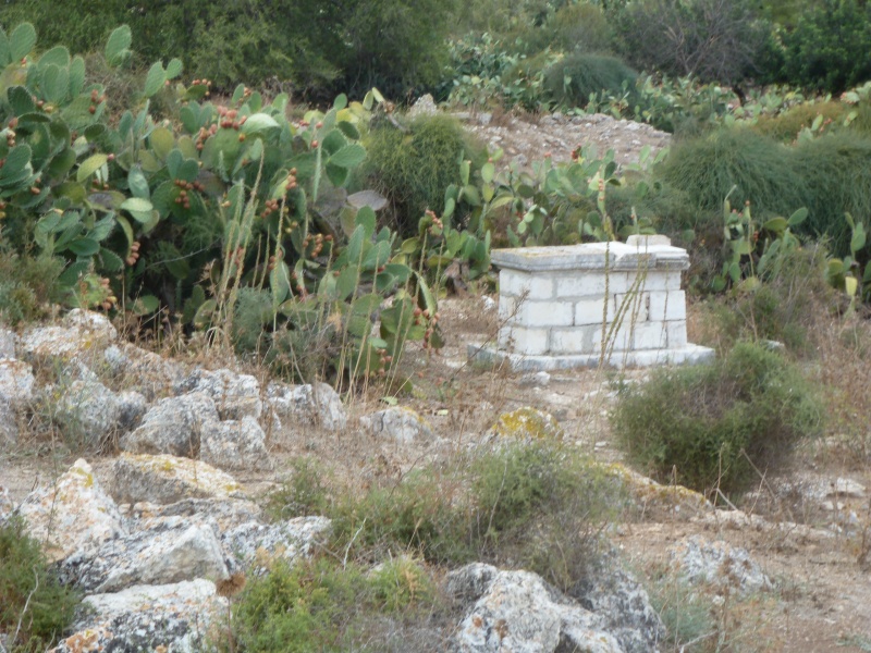 קובץ:41- בית העלמין כפר ענבה.JPG