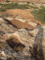 תמונה ממוזערת לגרסה מתאריך 12:05, 10 באוקטובר 2014