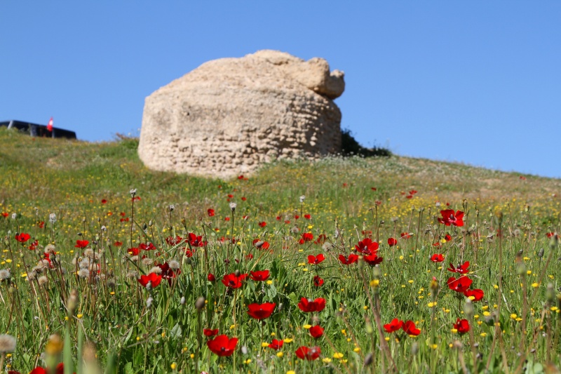 קובץ:5-2-2015 צילום בביאן רפי (94).JPG