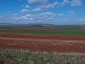 תמונה ממוזערת לגרסה מתאריך 20:28, 5 במרץ 2018