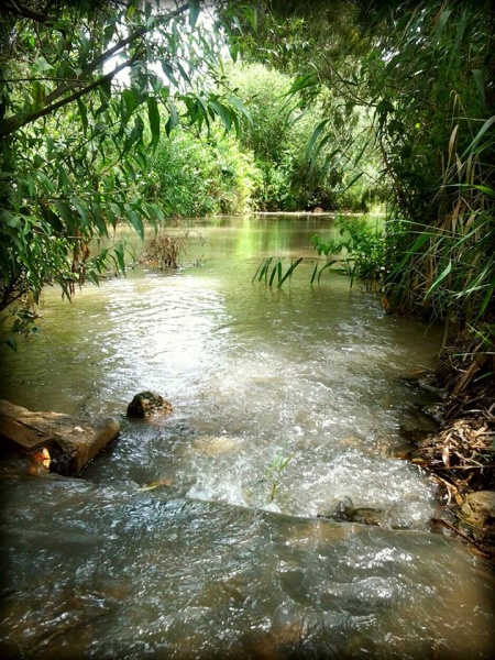 קובץ:971192 416166551814033 1160006731 n.jpg