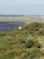 תמונה ממוזערת לגרסה מתאריך 17:26, 19 בדצמבר 2014