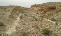 Ashalim to Lavan stream section - Lavan stream dugout 1.jpg