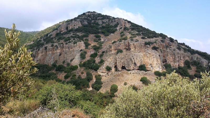 קובץ:Bunny Hill.jpg