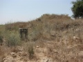 תמונה ממוזערת לגרסה מתאריך 14:35, 2 באוגוסט 2015