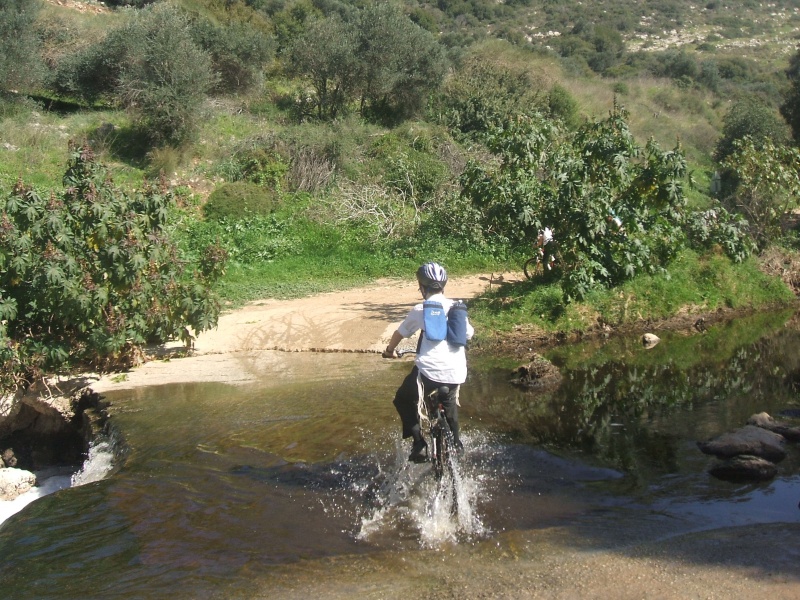 קובץ:Dמעבר.JPG