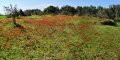 תמונה ממוזערת לגרסה מתאריך 19:24, 6 בפברואר 2015