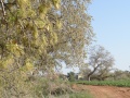 תמונה ממוזערת לגרסה מתאריך 18:02, 8 בפברואר 2014