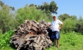 תמונה ממוזערת לגרסה מתאריך 10:14, 2 בספטמבר 2013