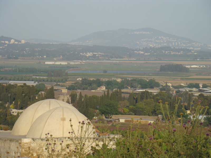 קובץ:DSC05212.JPG