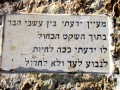 תמונה ממוזערת לגרסה מתאריך 12:50, 31 ביולי 2011