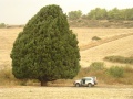 תמונה ממוזערת לגרסה מתאריך 18:30, 2 בפברואר 2011