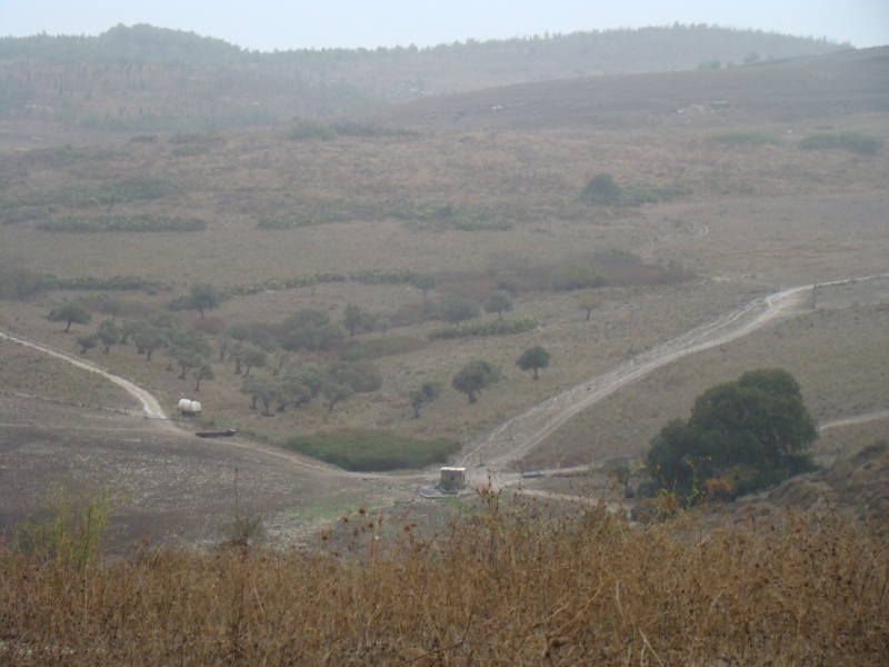 קובץ:DSC08800.JPG