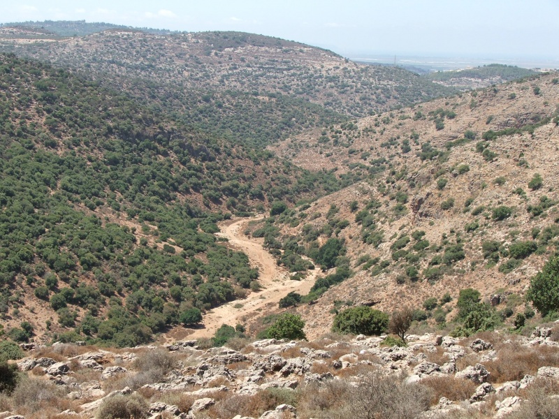 קובץ:DSCF4056.JPG