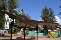 DSC 1971 haim holtzman airplane garden rechovot.jpg