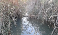Habssor stream - the old Dam 1.jpg