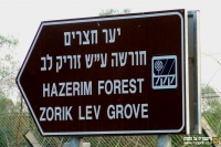 Hazerimforest.jpg