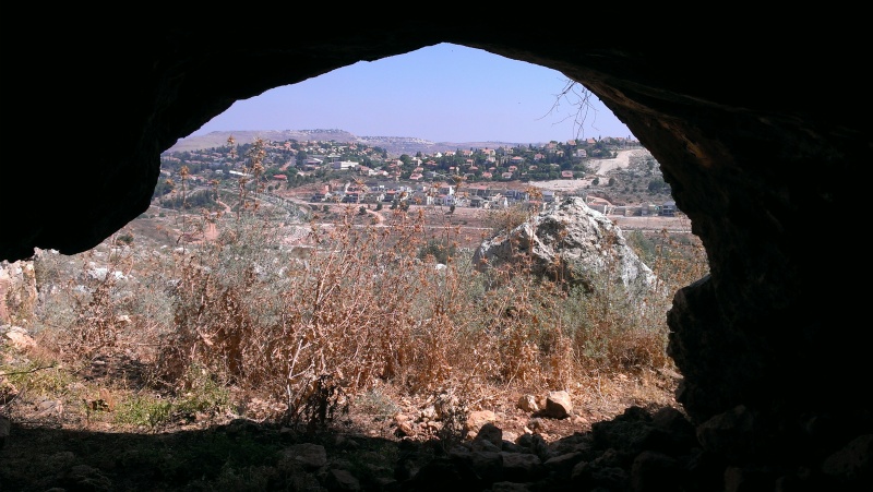 קובץ:IMAG0570.jpg