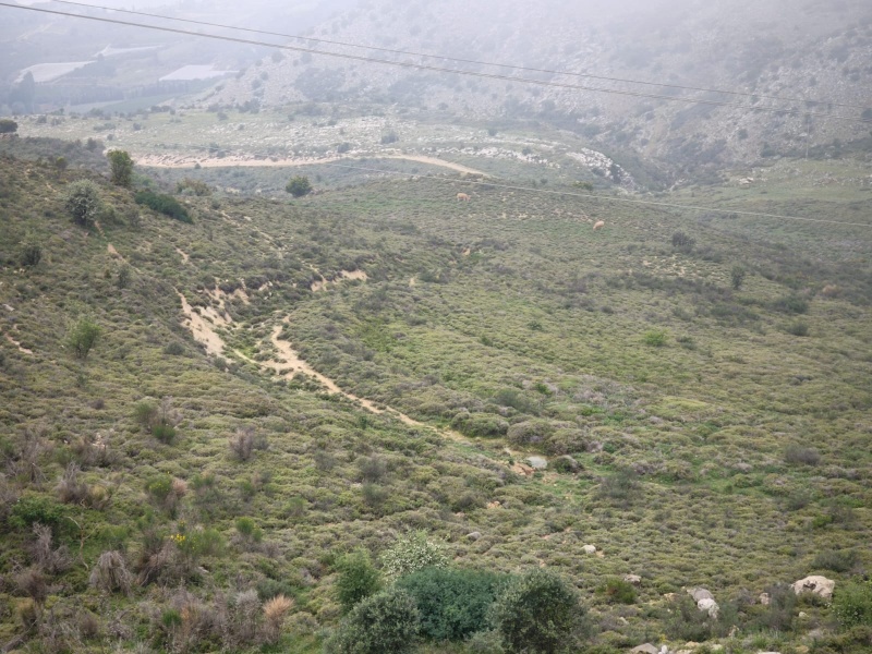 קובץ:IMG-20250426-WA0020.jpg