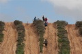 תמונה ממוזערת לגרסה מתאריך 17:23, 7 בפברואר 2016