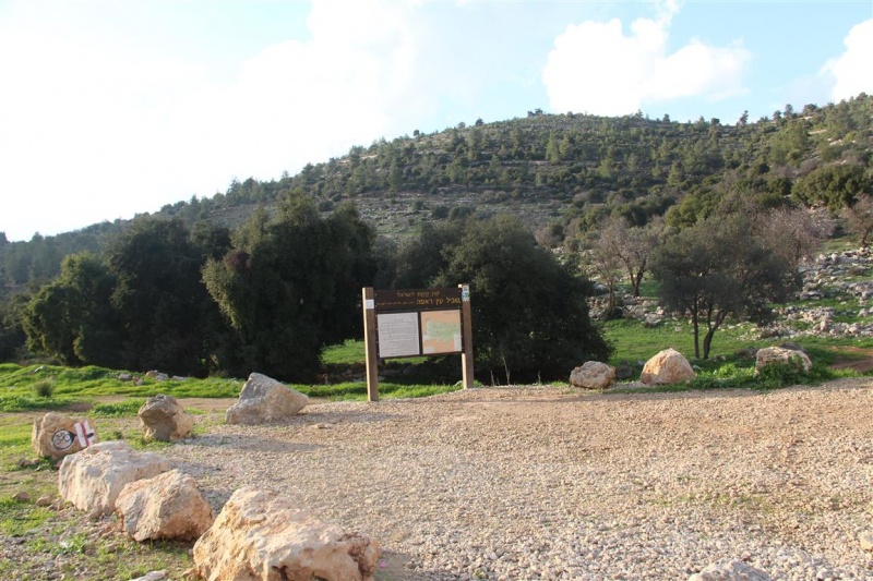 קובץ:IMG 0209.JPG