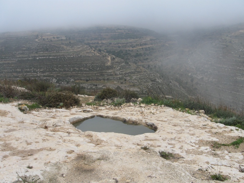 קובץ:IMG 0348.JPG