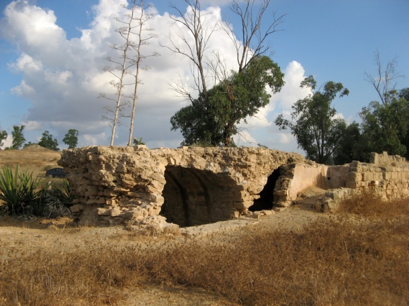 קובץ:IMG 0422.JPG