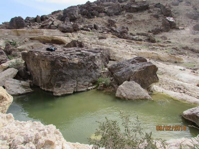 קובץ:IMG 1447.JPG