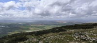 IMG 20240315 130534.jpg