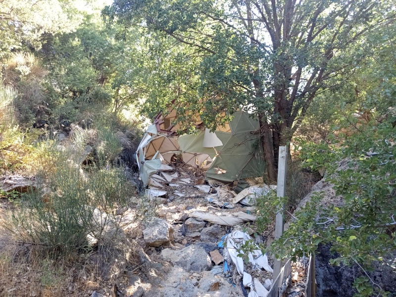 קובץ:IMG 20250721 093800 1.jpg