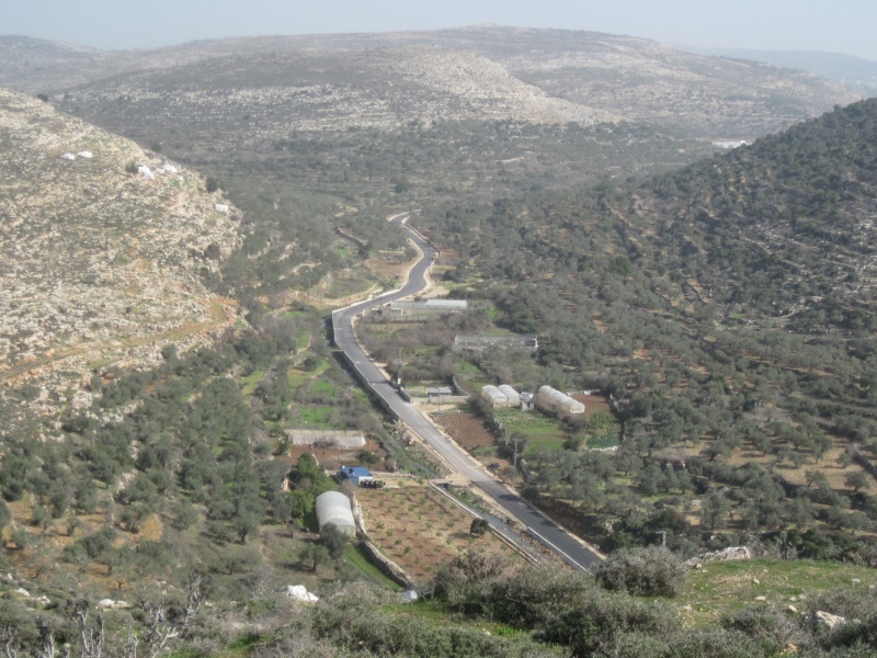 קובץ:IMG 2268.JPG