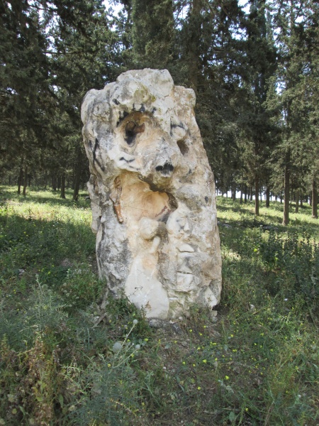 קובץ:IMG 2637.JPG