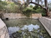 IMG 4836.JPG