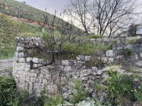 IMG 4853.JPG