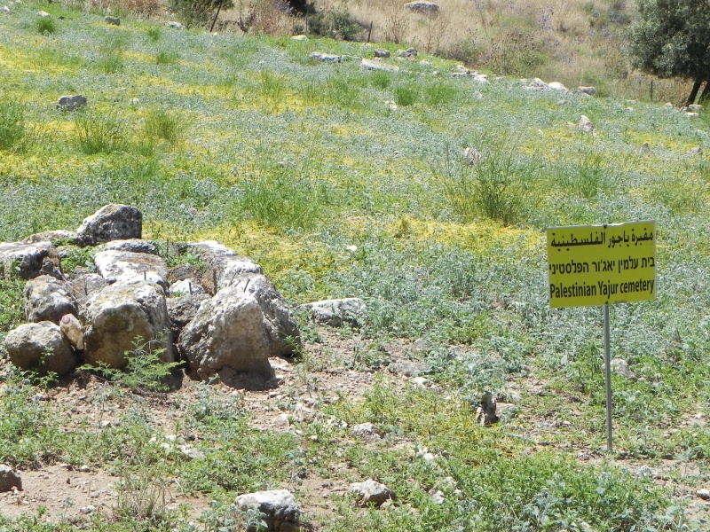 קובץ:Old cemetary1.JPG