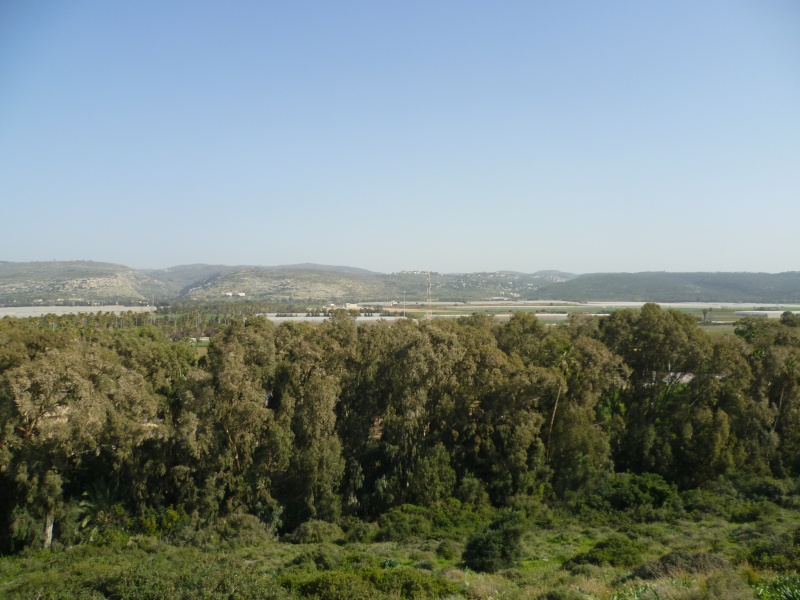 קובץ:P1020413.JPG