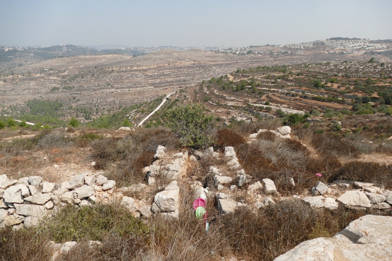 קובץ:P1030238.JPG