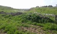 Train dugout near Tel A-Sheria 1.jpg