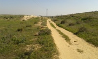 Train from Ofakim to Sde Teiman 5.jpg