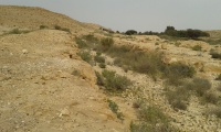 Turkish train from Sorek to Kusseima - section between Ezuz to Kusseima - Dugout 1.jpg