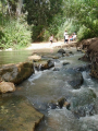 תמונה ממוזערת לגרסה מתאריך 06:58, 27 במאי 2013