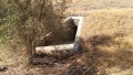 תמונה ממוזערת לגרסה מתאריך 15:33, 26 בנובמבר 2016