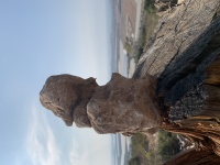 View from the mountain to the sea.jpg